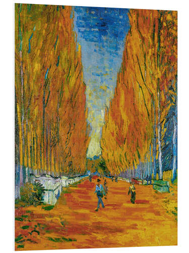 Foam board print L'Allee des Alyscamps, Arles