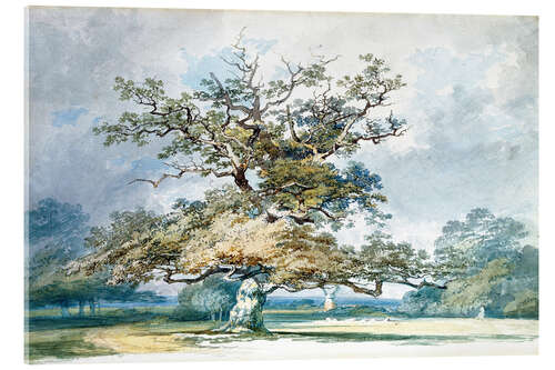 Tableau en verre acrylique A Landscape with an Old Oak Tree