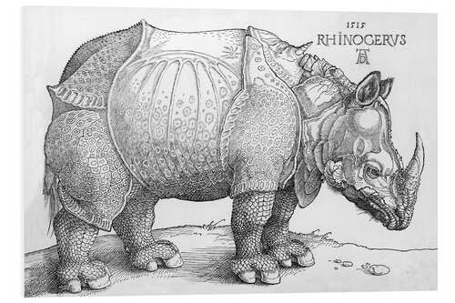 Foam board print The Rhinoceros, 1515