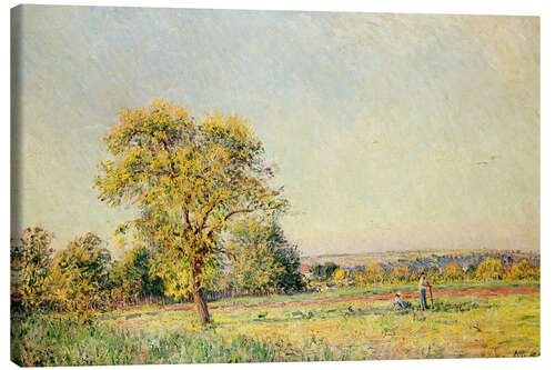 Canvas print A Summer's Day, 1886