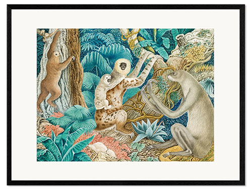 Framed art print Sloths, 1881