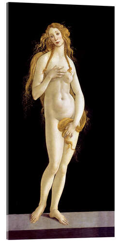 Acrylic print Venus