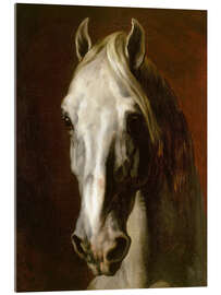 Obraz na szkle akrylowym  Head of a white horse - Theodore Gericault