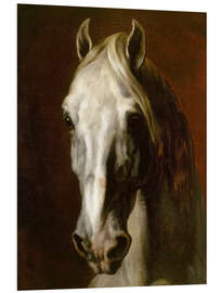 Foam board print Head of a white horse