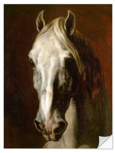 Selvklæbende plakat Head of a white horse