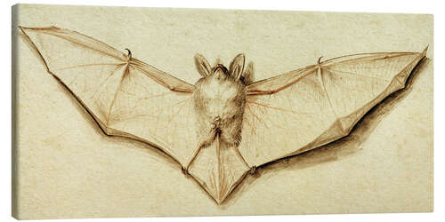 Canvas print Bat with spread wings