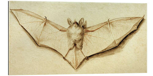 Gallery print Bat with spread wings