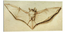 Gallery print Bat with spread wings