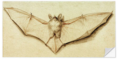 Adesivo murale Bat with spread wings