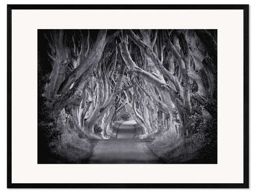Kehystetty taidepainatus The Dark Hedges