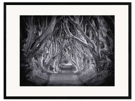 Kehystetty taidepainatus The Dark Hedges
