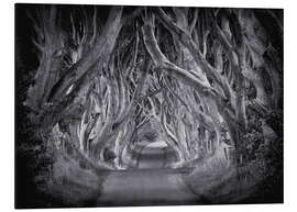 Magnettafel The Dark Hedges