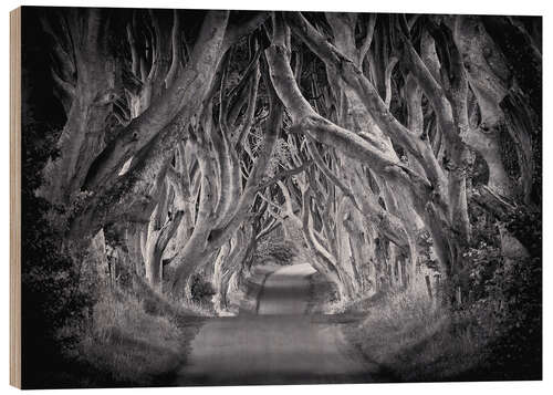 Holzbild The Dark Hedges