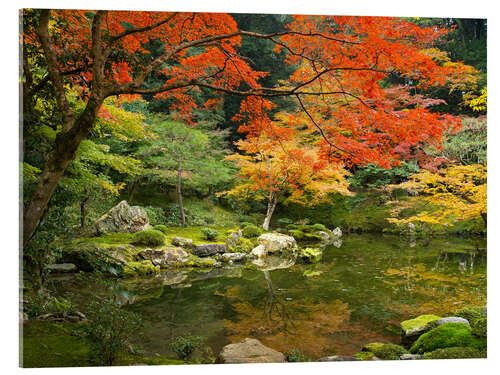 Akrylbillede Japanese garden in autumn with red maple tree