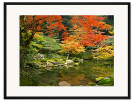 Gerahmter Kunstdruck Japanischer Garten im Herbst mit rotem Ahornbaum