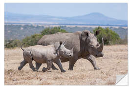 Sticker mural Rhinocéros blanc et son petit