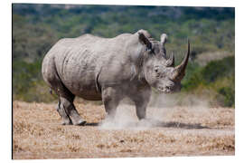 Magnettafel Wütendes Nashorn
