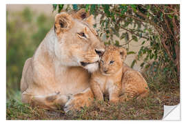 Vinilo para la pared Mother love at the lion