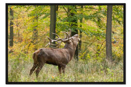 Gerahmter Kunstdruck Der Ruf des Hirschen
