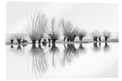 Acrylic print Willow trees in the mirror image of the flood