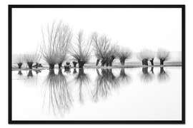 Gerahmter Kunstdruck Kopfweiden im Spiegelbild des Hochwassers