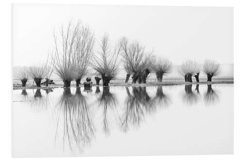 Hartschaumbild Kopfweiden im Spiegelbild des Hochwassers