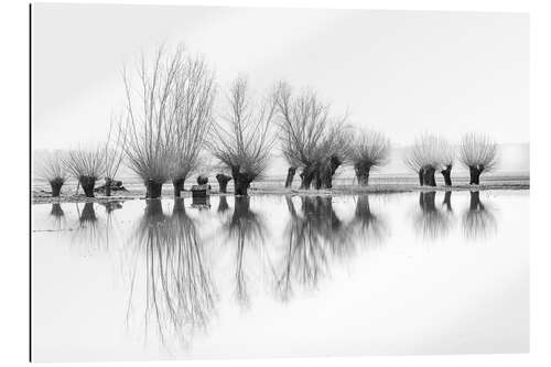 Gallery print Willow trees in the mirror image of the flood