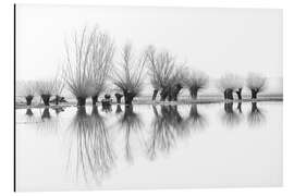 Magnettafel Kopfweiden im Spiegelbild des Hochwassers