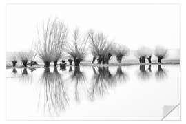 Wall sticker Willow trees in the mirror image of the flood