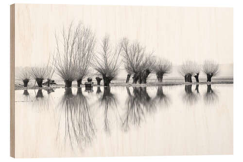 Wood print Willow trees in the mirror image of the flood