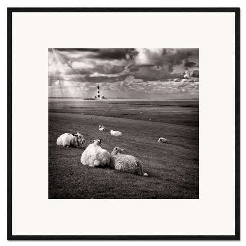 Plakat artystyczny premium w ramie Talking Sheep