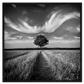 Gerahmter Kunstdruck Baum und Wolken