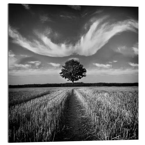 Tableau en plexi-alu Arbre et nuages