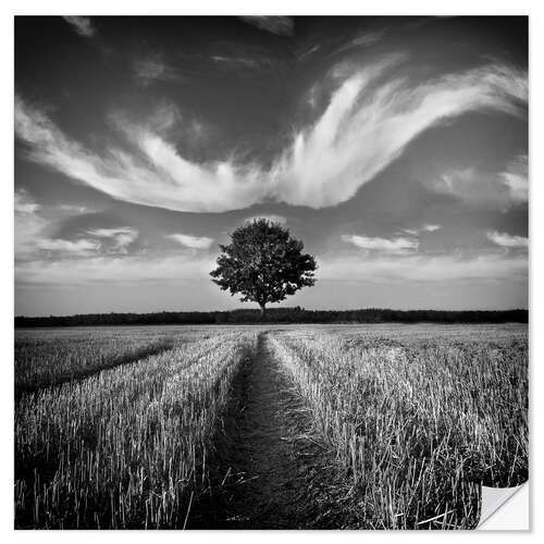 Naklejka na ścianę Tree and clouds