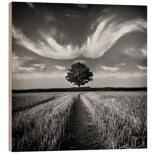 Obraz na drewnie Tree and clouds