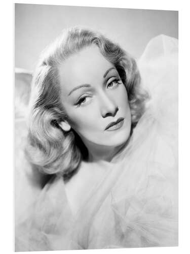 Foam board print Marlene Dietrich III