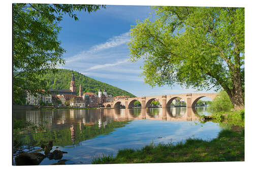 Aluminium print Heidelberg in spring