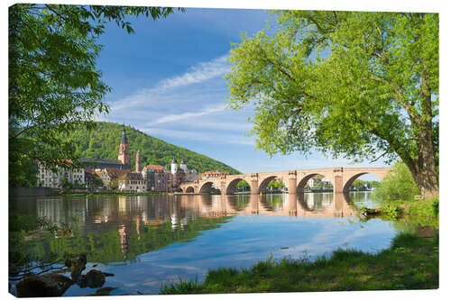 Canvas print Heidelberg in spring