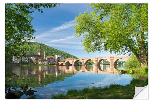 Naklejka na ścianę Heidelberg in spring