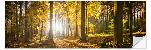 Wandsticker Herbstwald im Gegenlicht mit Sonnenschein und gelbem Herbstlaub