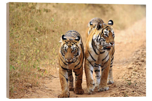 Holzbild Bengal Tiger auf der Lauer