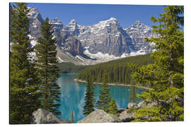 Aluminiumtavla Lake Moraine and Canadian Rockies