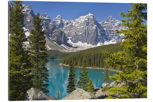 Galleritryck Lake Moraine and Canadian Rockies