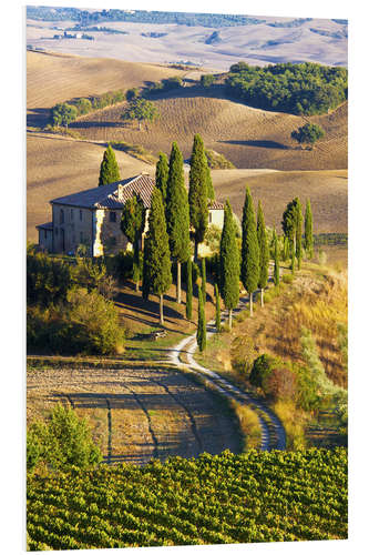 PVC-tavla Belvedere House in San Quirico