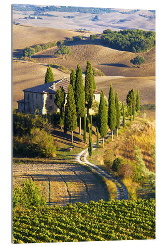 Gallery print Belvedere House in San Quirico