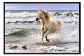 Gerahmter Kunstdruck Camarguepferd zwischen Wellen
