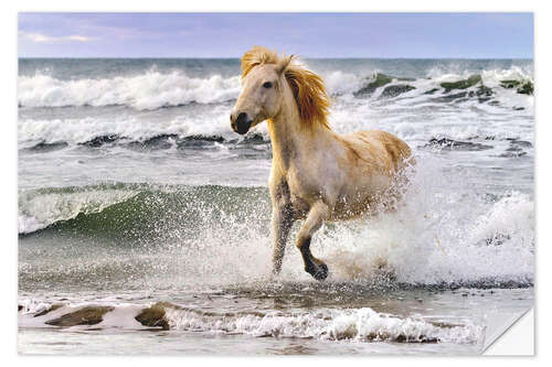 Selvklebende plakat Camargue horse between waves