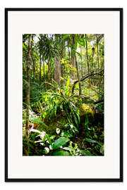 Gerahmter Kunstdruck Madagaskar