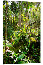 Magnettafel Madagaskar