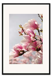 Gerahmter Kunstdruck Magnolie
